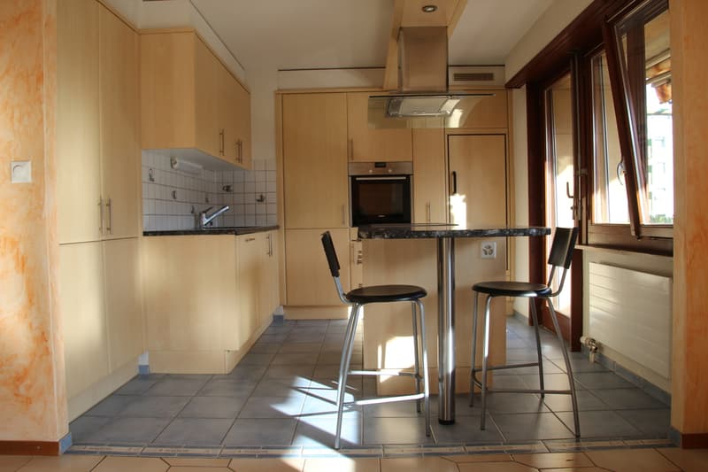 Appartement de 4,5 pcs 110 m2 avec cave, garage et place de parc (13)