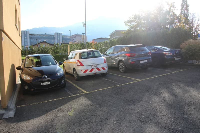 Appartement de 4,5 pcs 110 m2 avec cave, garage et place de parc (4)