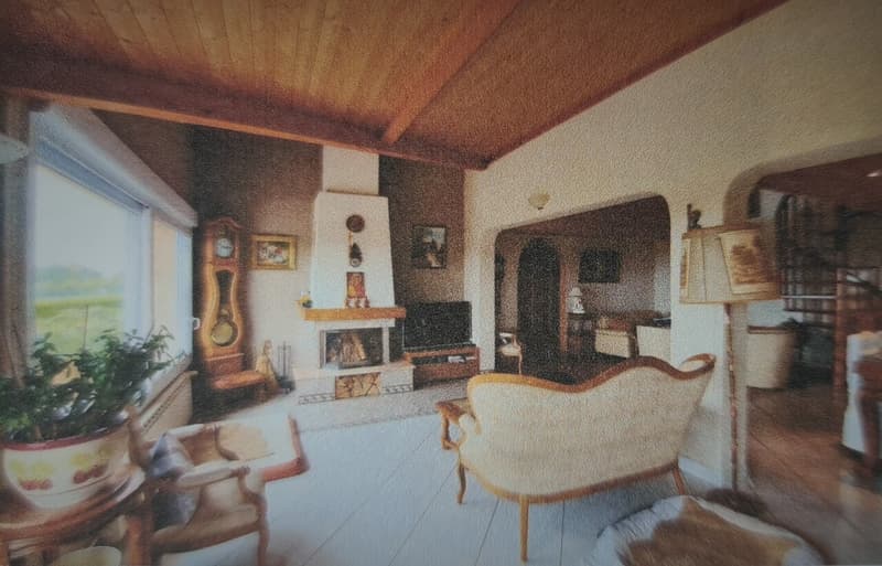 Maison d'architecte de 10 pièces + studio séparé sur grand terrain (12)
