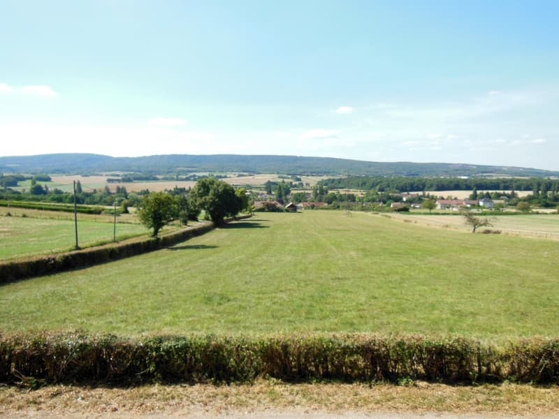Vue depuis l'entrée de la maison