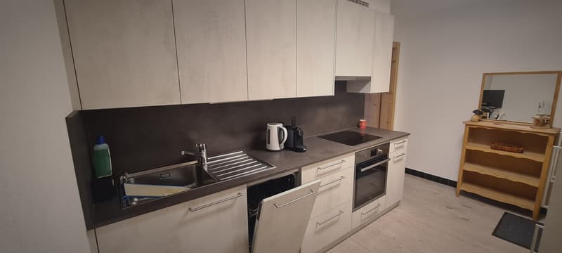 Morgins centre - Bel appartement rénové de 3,5 pcs avec pl. de parc (2)