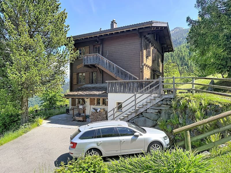 Appartement duplex de 175 m² à Bruson (19)