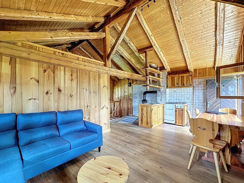 Sanctuaire alpin – autonomie, chaleur et évasion proche Verbier (6)