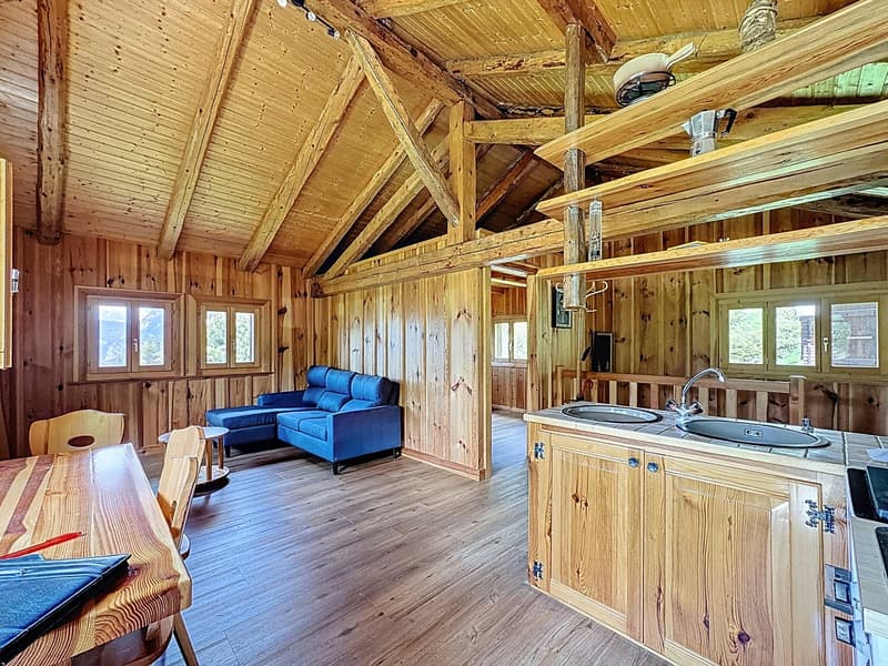 Sanctuaire alpin – autonomie, chaleur et évasion proche Verbier (3)