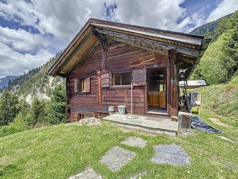 Sanctuaire alpin – autonomie, chaleur et évasion proche Verbier (2)