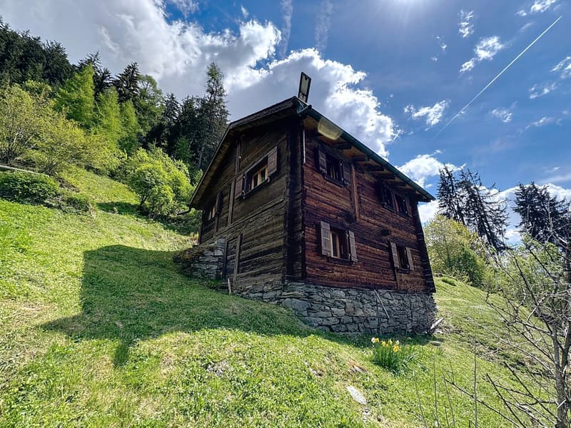Sanctuaire alpin – autonomie, chaleur et évasion proche Verbier (19)