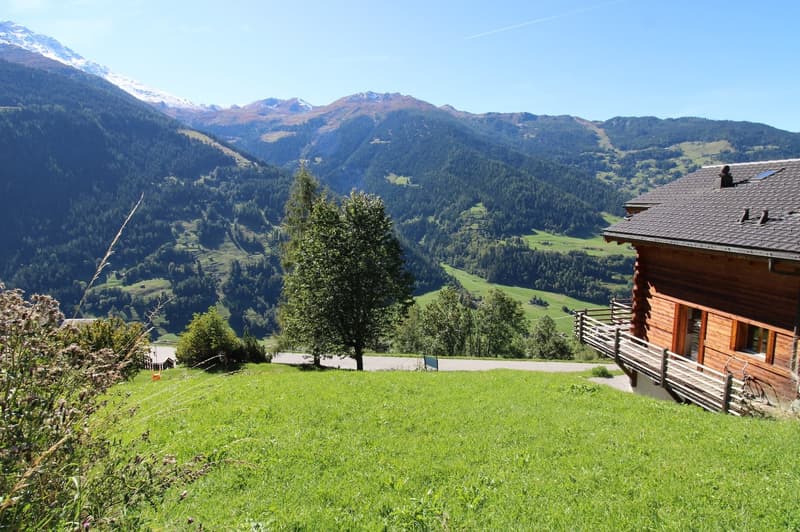 Terrain à bâtir de 459 m² à Sarreyer, vue plongeante sur la vallée (3)