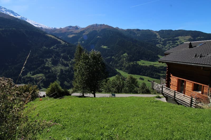 Terrain à bâtir de 459 m² à Sarreyer, vue plongeante sur la vallée (4)