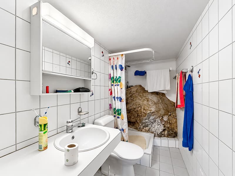Authentique appartement villageois en madriers au cœur du Sappey (7)