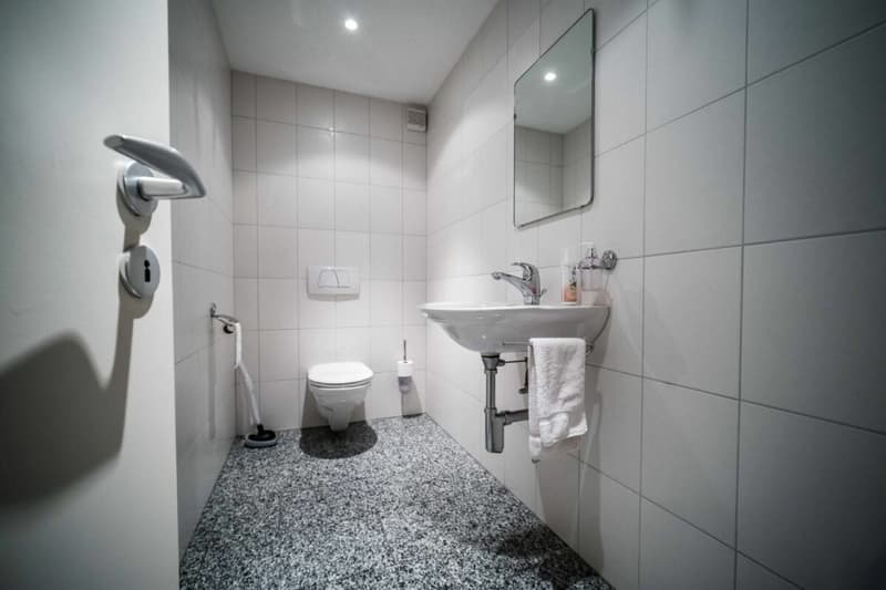 Villa individuelle 5 pièces à Grimisuat (18)