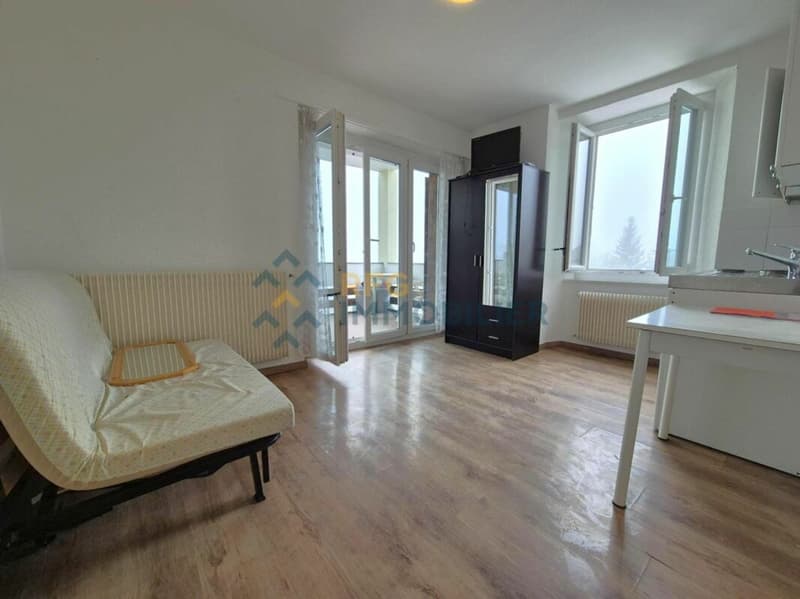 Apartment 1.5 rooms in Ovronnaz (4)