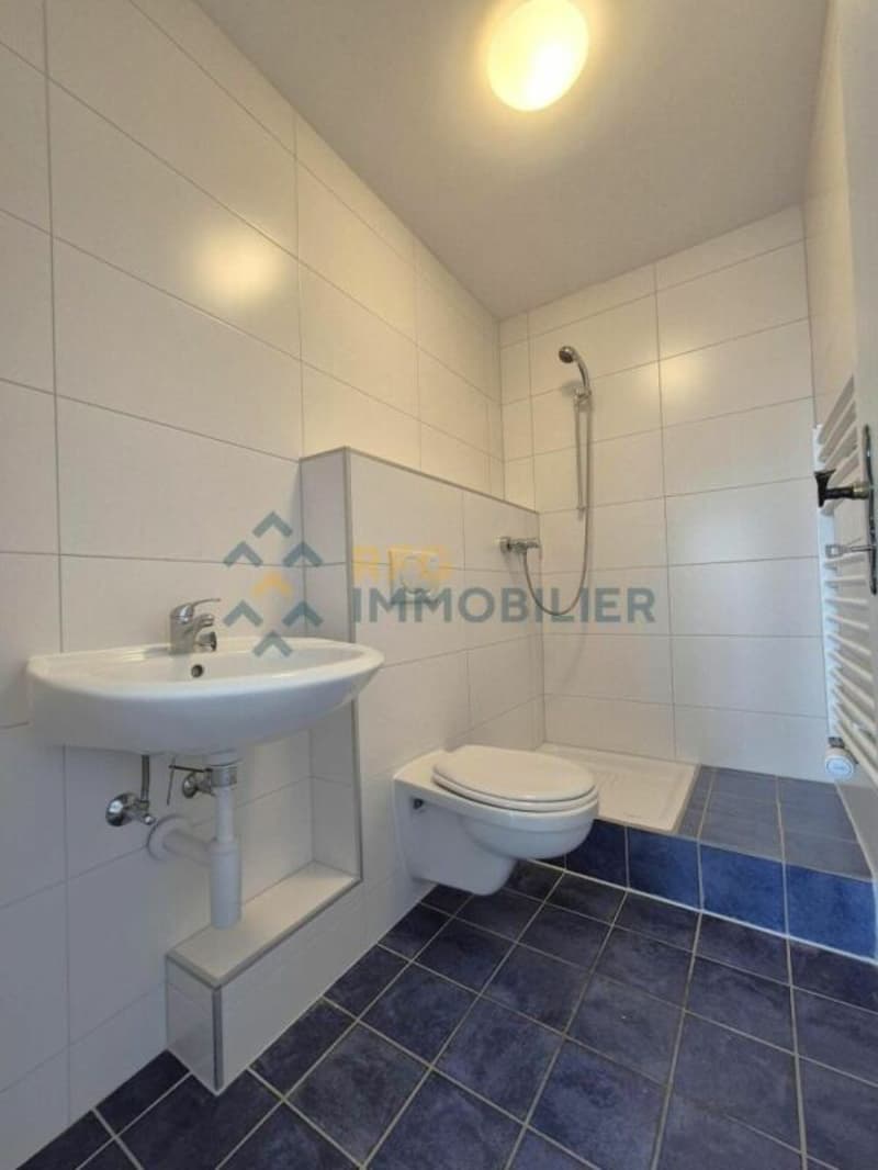 Apartment 1.5 rooms in Ovronnaz (5)