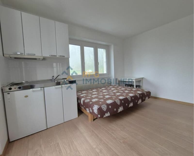 Apartment 1.5 rooms in Ovronnaz (6)