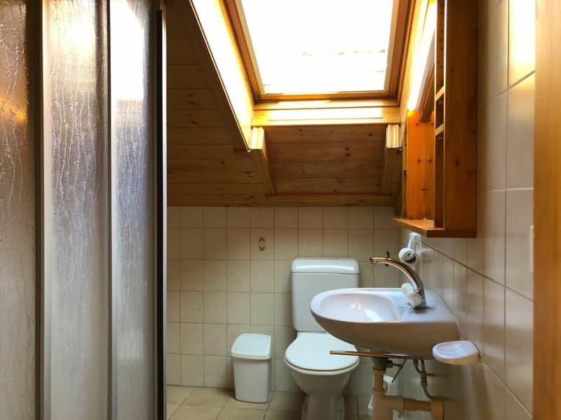 Studio avec grande terrasse dans le quartier de Châtaignier (4)