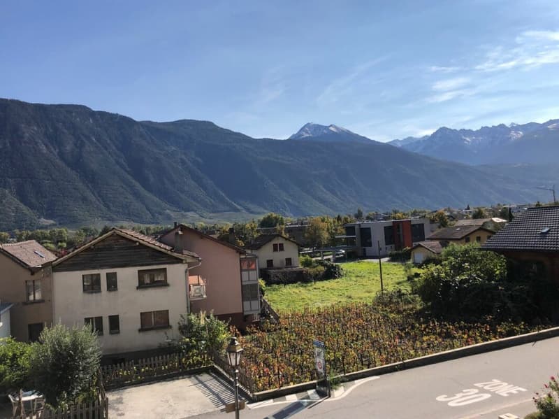 Studio avec grande terrasse dans le quartier de Châtaignier (5)