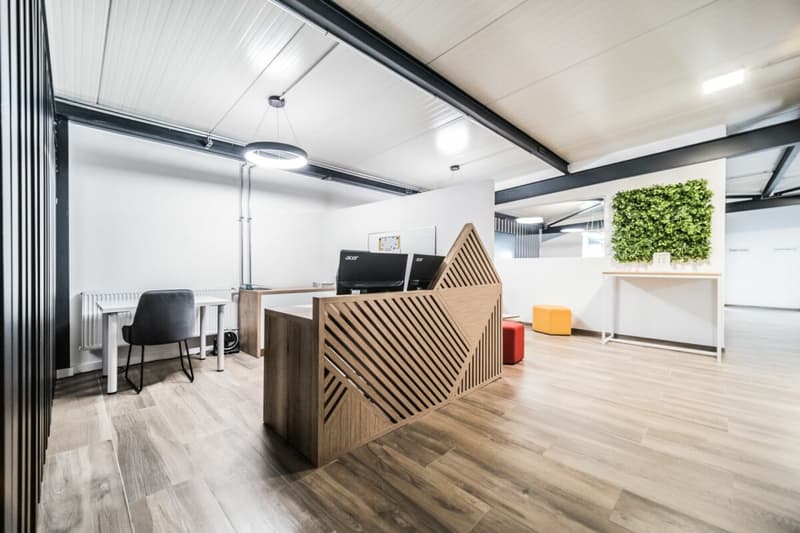 Bureaux de 250 m2 déjà meublés et agencés (8)