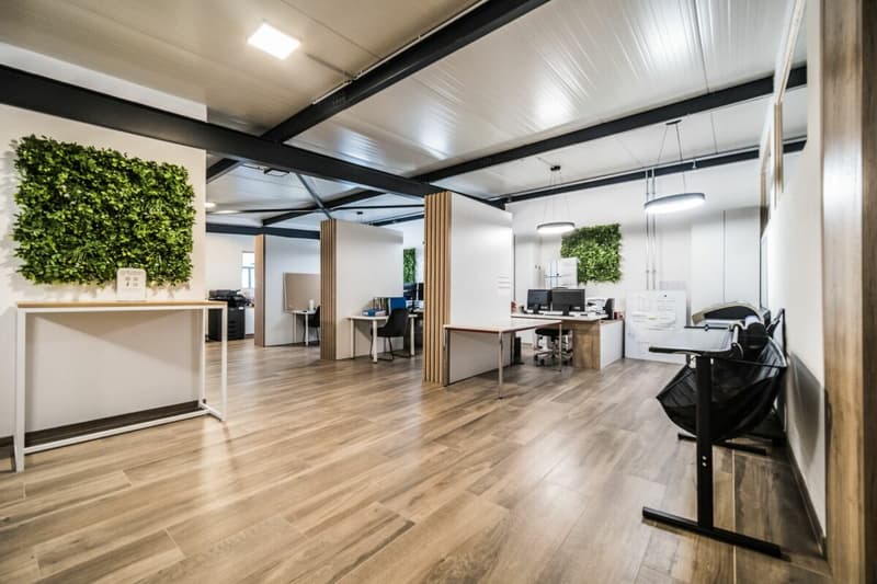 Bureaux de 250 m2 déjà meublés et agencés (7)