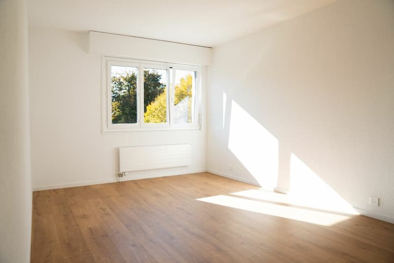 Magnifique rénovation d'un 3.5 pièces déjà loué à Sion (3)