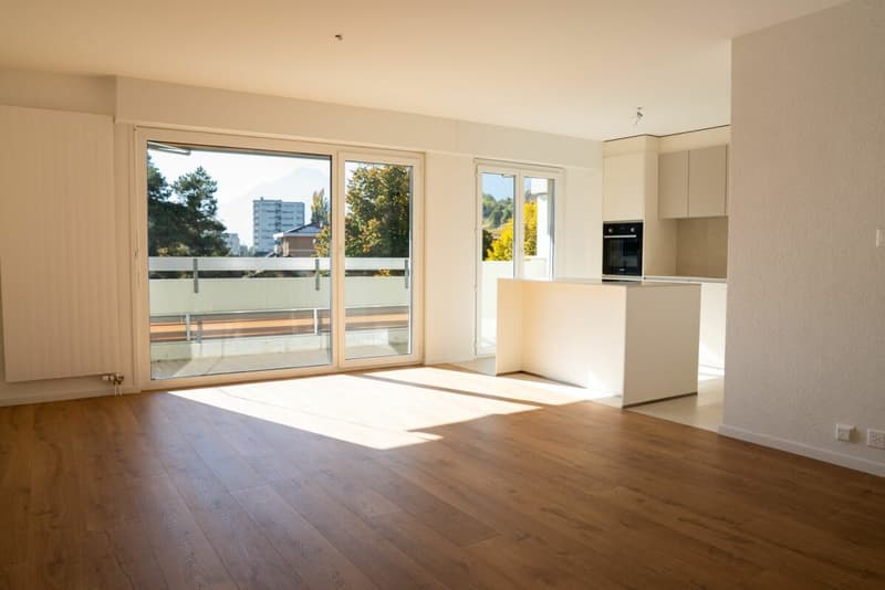 Magnifique rénovation d'un 3.5 pièces déjà loué à Sion (2)