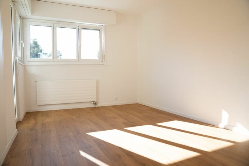 Magnifique rénovation d'un 3.5 pièces déjà loué à Sion (4)