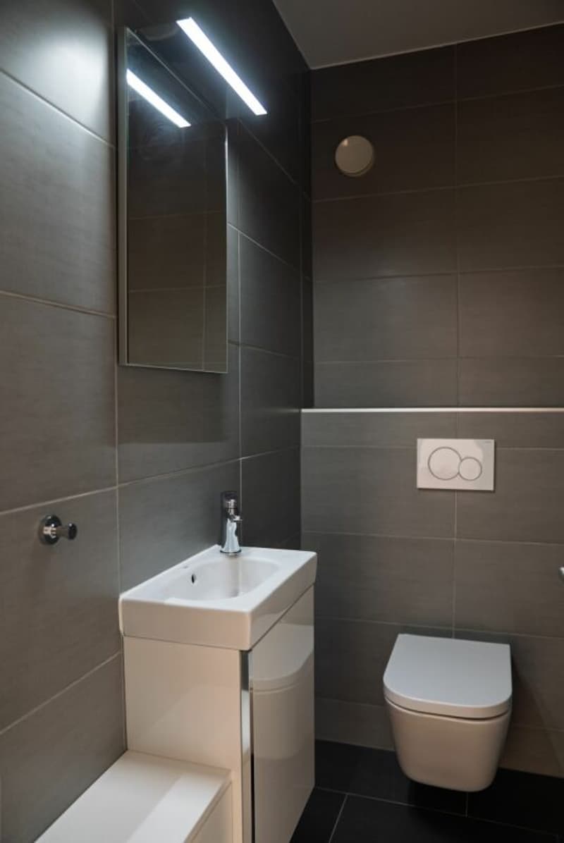 Magnifique rénovation d'un 3.5 pièces déjà loué à Sion (9)