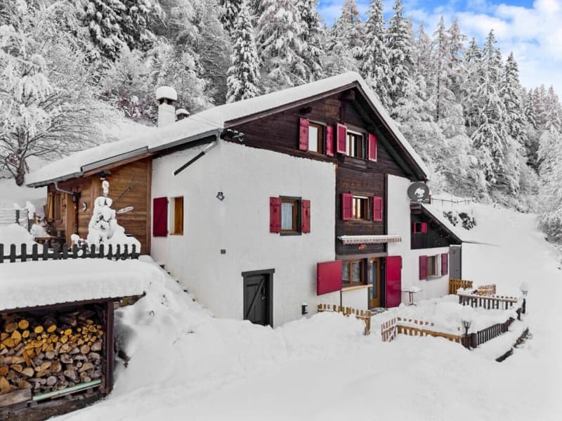 Chalet de 4.5 pièces (1)
