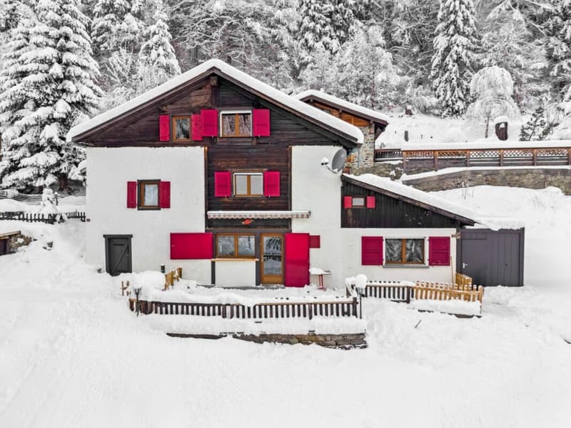 Chalet de 4.5 pièces (23)