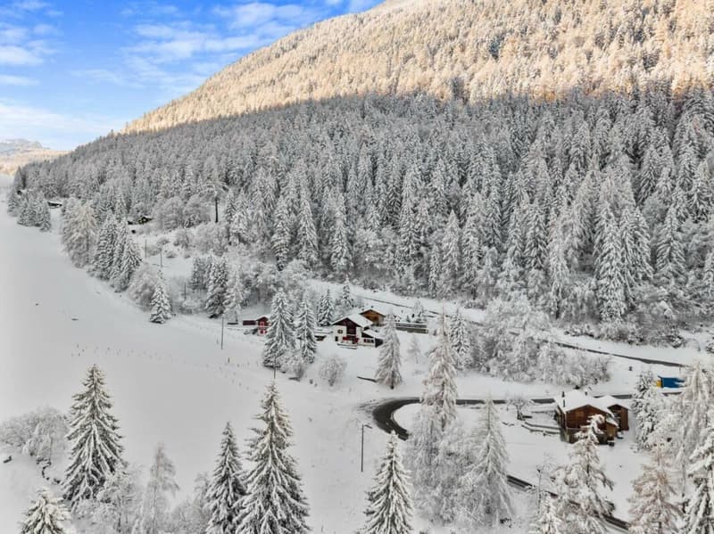 Chalet de 4.5 pièces (21)