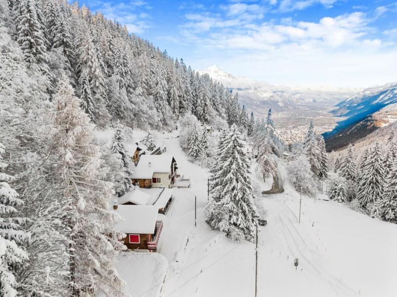 Chalet de 4.5 pièces (19)