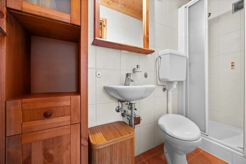 Chalet de 4.5 pièces (14)