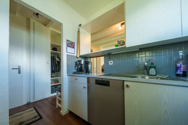 Acquisition en résidence secondaire possible - Charmant chalet avec vue panoramique exceptionnelle sur la plaine du Rhône (6)