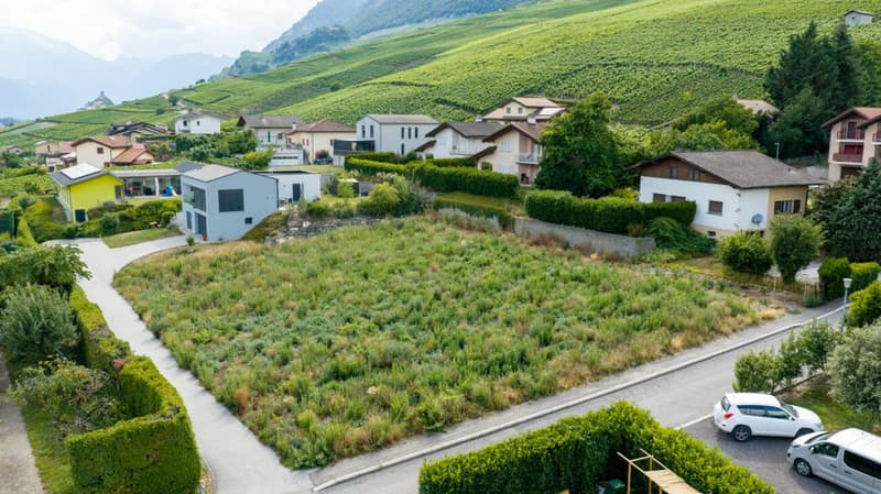 Les Vignobles de l'Arche - Lot n° 1 (9)
