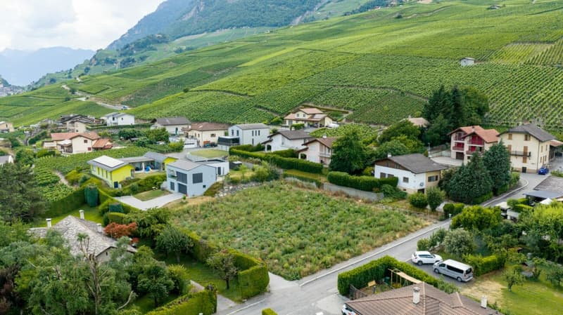 Les Vignobles de l'Arche - Lot n° 1 (10)