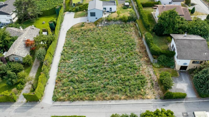 Les Vignobles de l'Arche - Lot n° 1 (11)
