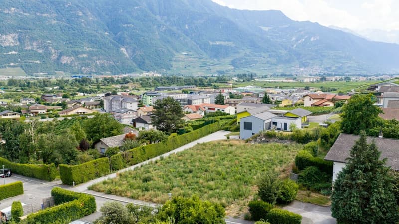 Les Vignobles de l'Arche - Lot n° 2 (7)