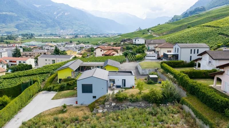 Les Vignobles de l'Arche - Lot n° 3 (8)