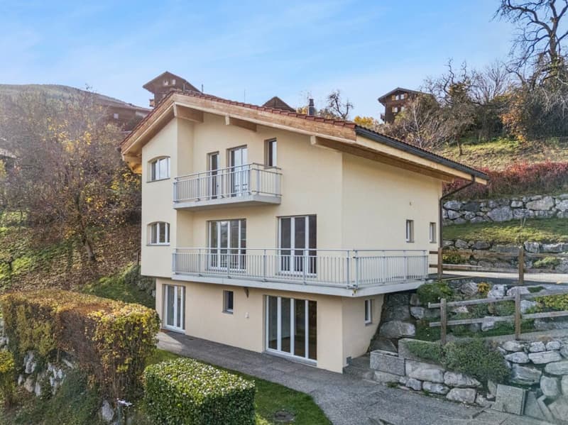 Magnifique maison individuelle à Vex (17)