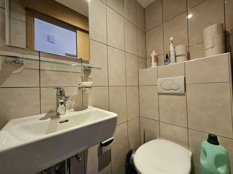 Magnifique appartement de 5.5 pièces (11)