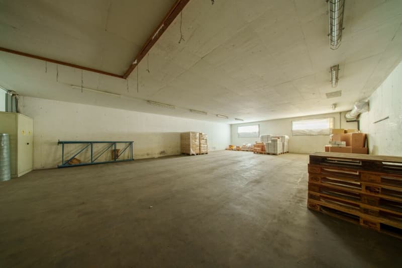 Halle commerciale à vendre (7)