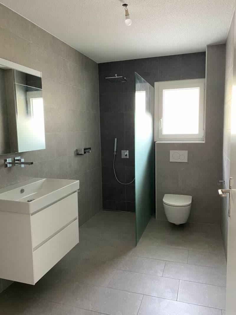 Appartement de 2.5 pièces à Saxon (5)