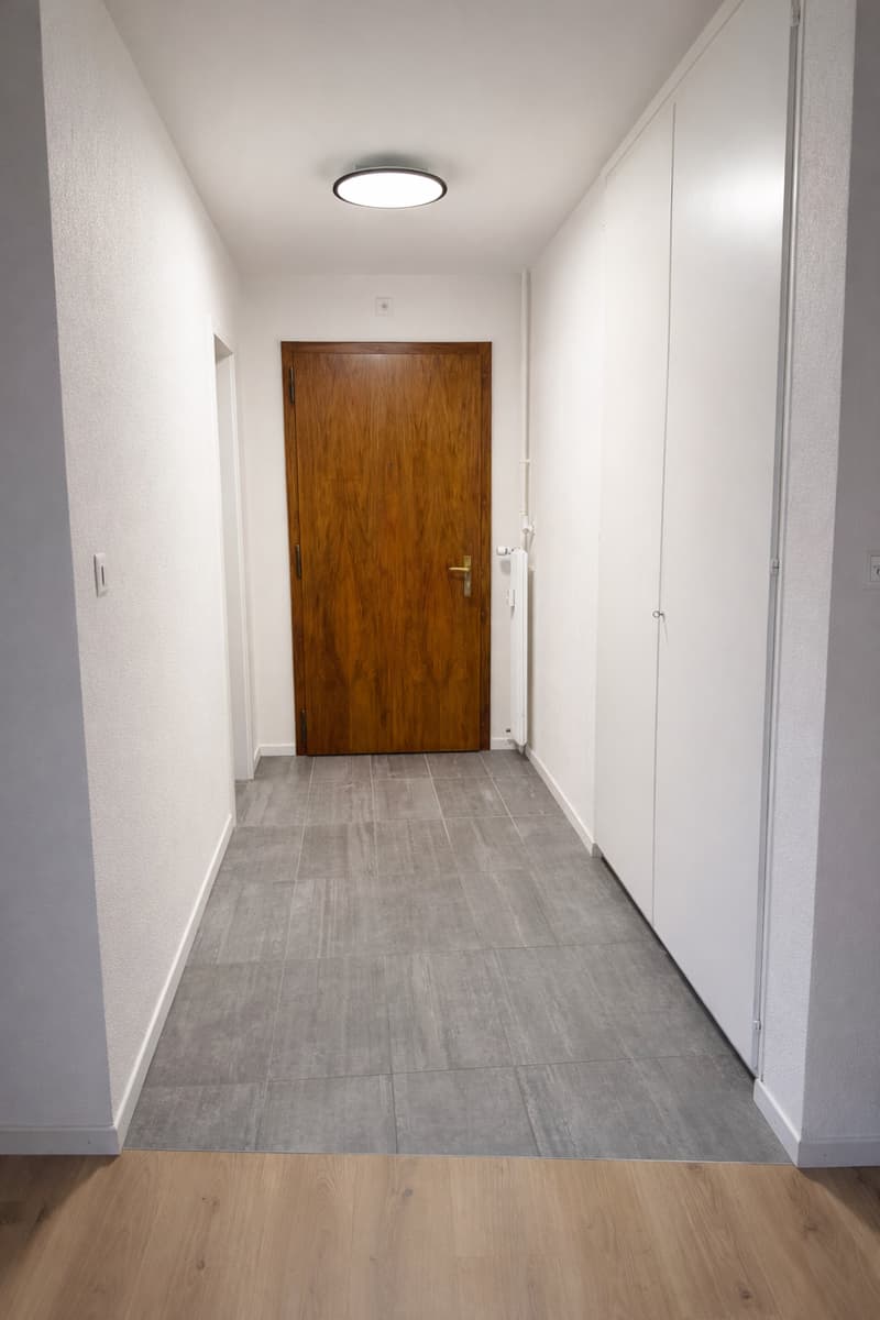 An empty hallway with white walls and a wooden door. Gray tile flooring. Circular ceiling lamp.
