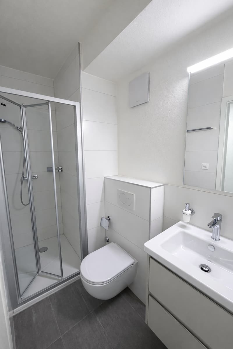 modern bathroom, white tiled wall, white ceramic sink, silver faucet, white shower enclosure, white toilet, silver towel rack, mirror