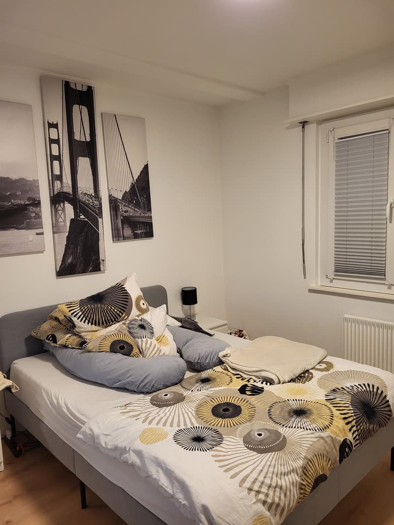 Spacieux appartement 4.5 pièces au cœur de Sierre (8)