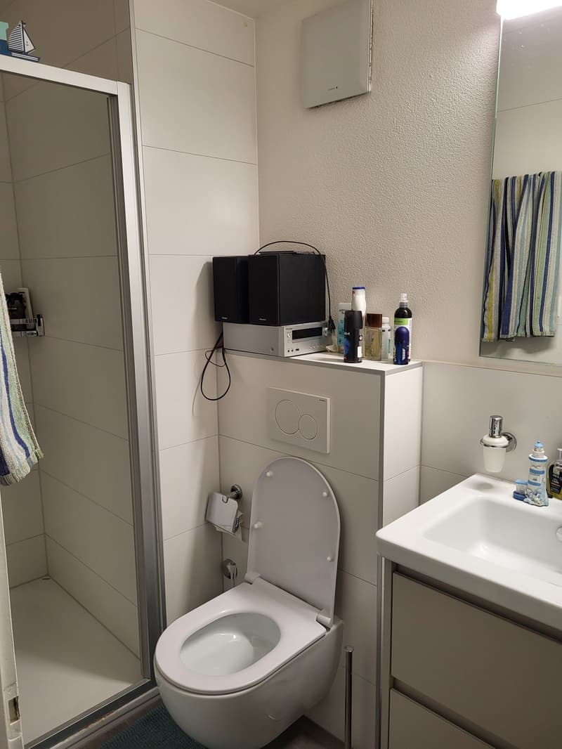 Spacieux appartement 4.5 pièces au cœur de Sierre (6)