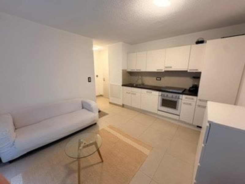 Appartement lumineux de 2 pièces à louer (reprise de bail) (1)