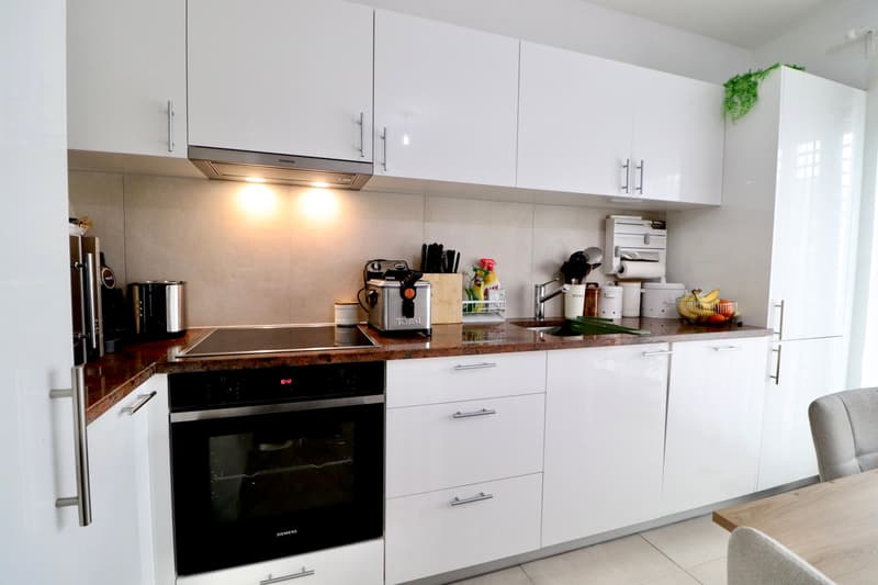Vouvry – Magnifique 2.5 pièces – Rez-de-jardin – Nouvelle construction - Lot B1.04 (3)