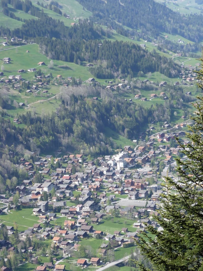 Belle parcelle de 903 m2 à construire au-dessus du village de Champéry (2)