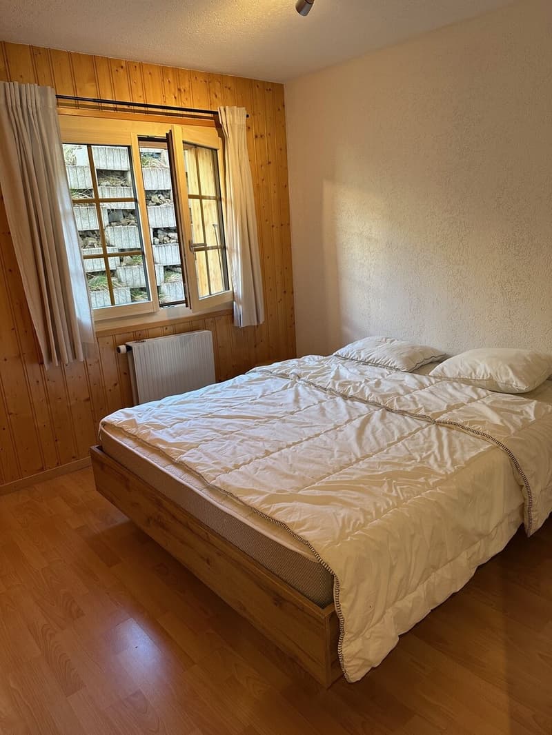 Magnifique Appartement rénové de 3 1/2 Pièces aux Crosets, Valais (5)