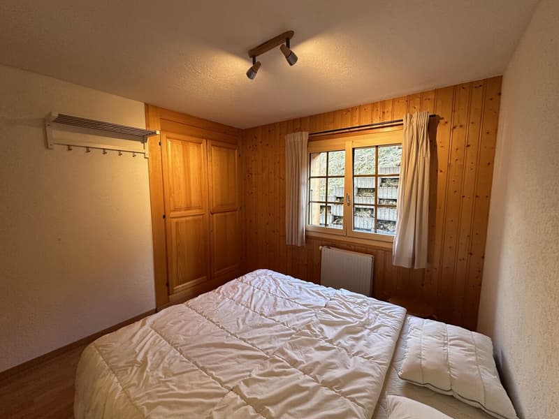 Magnifique Appartement rénové de 3 1/2 Pièces aux Crosets, Valais (4)