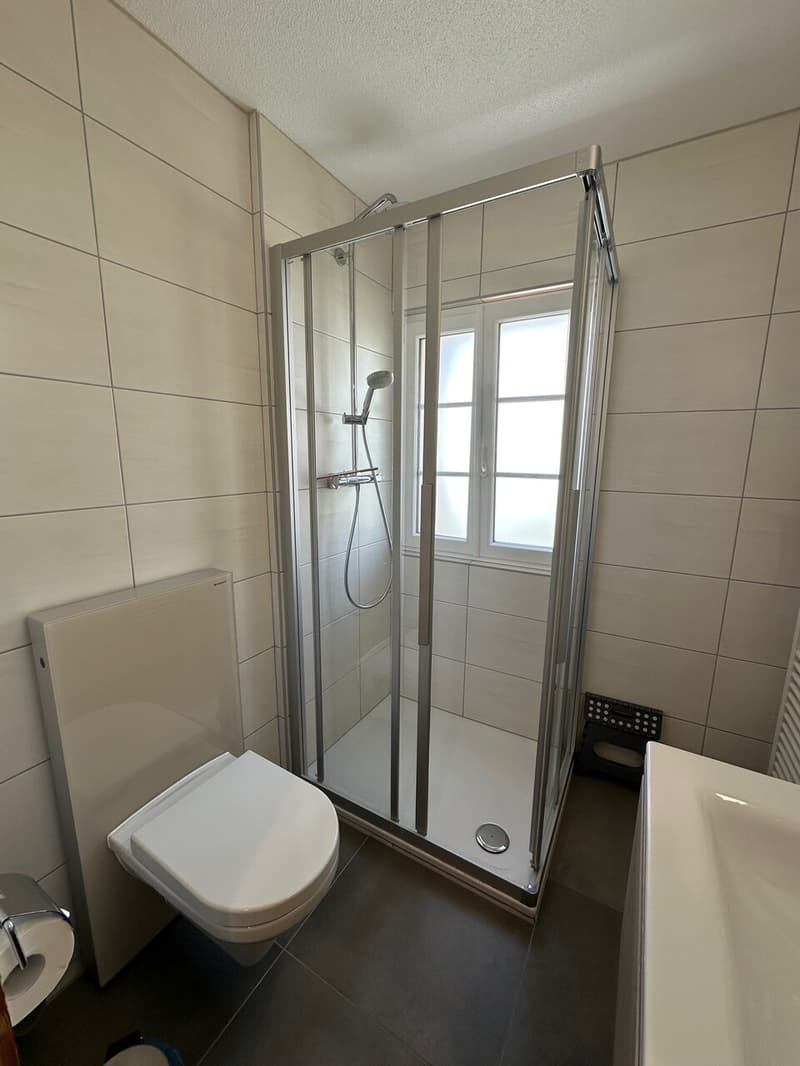 Magnifique Appartement rénové de 3 1/2 Pièces aux Crosets, Valais (10)